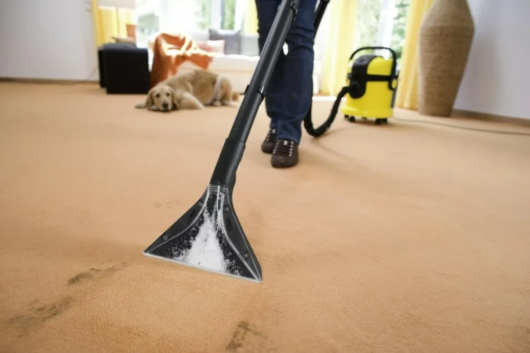 Professional Rug Cleaning Solutions